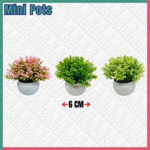 Mini Potted Plants Mix