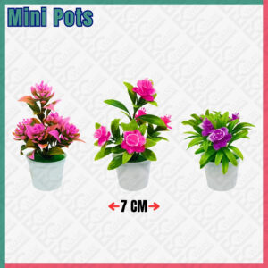 Mini Potted Plants Mix