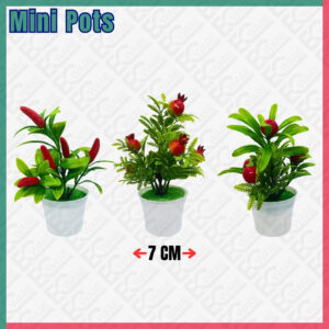 Mini Potted Plants Mix