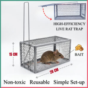 MOUSE CASE TRAP